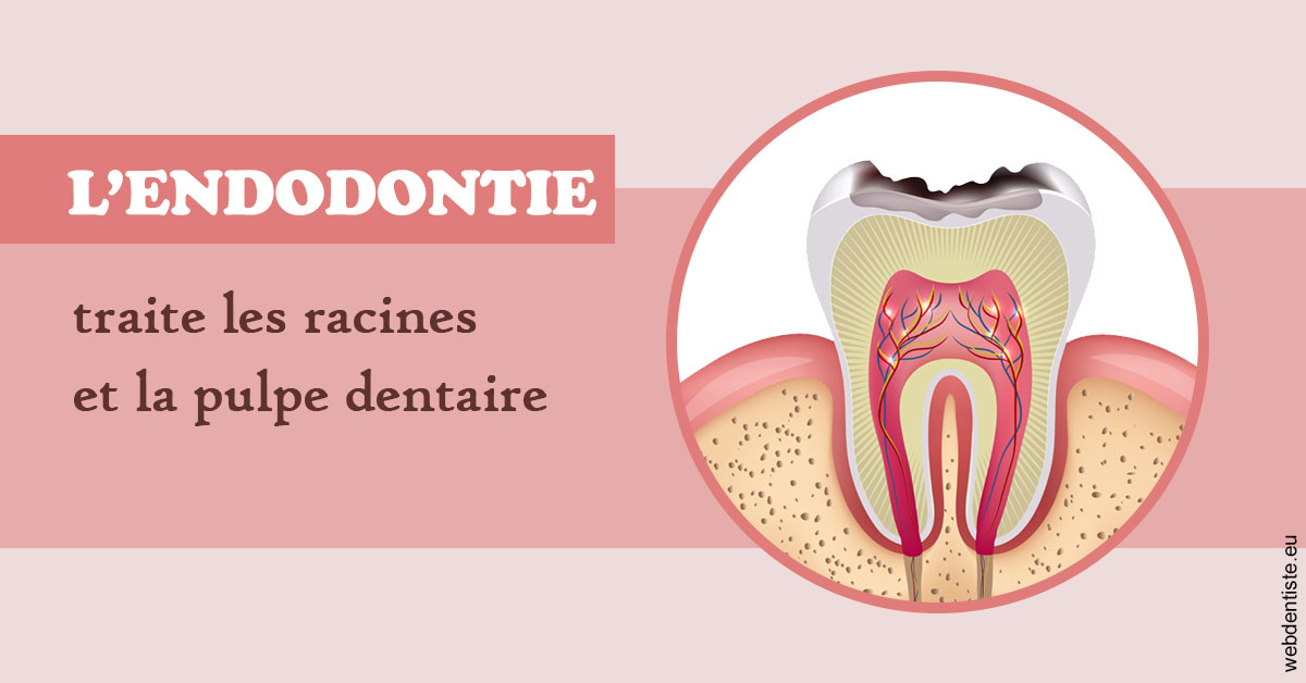 https://dr-fortier-pierre.chirurgiens-dentistes.fr/L'endodontie 2