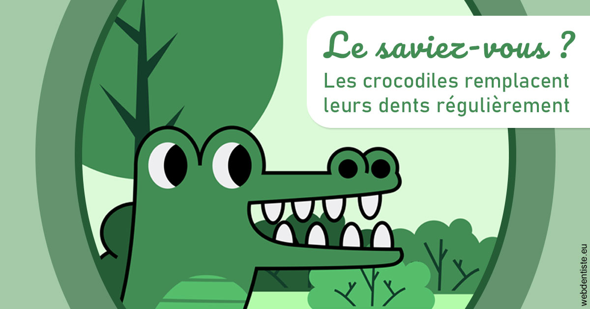 https://dr-fortier-pierre.chirurgiens-dentistes.fr/Crocodiles 2