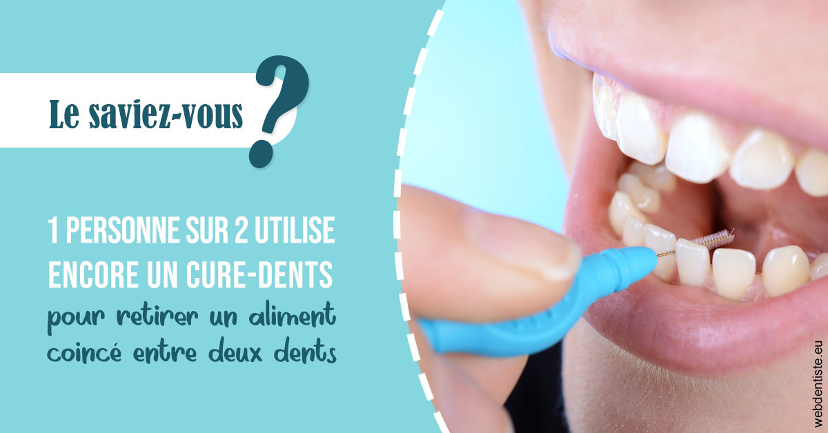 https://dr-fortier-pierre.chirurgiens-dentistes.fr/Cure-dents 1
